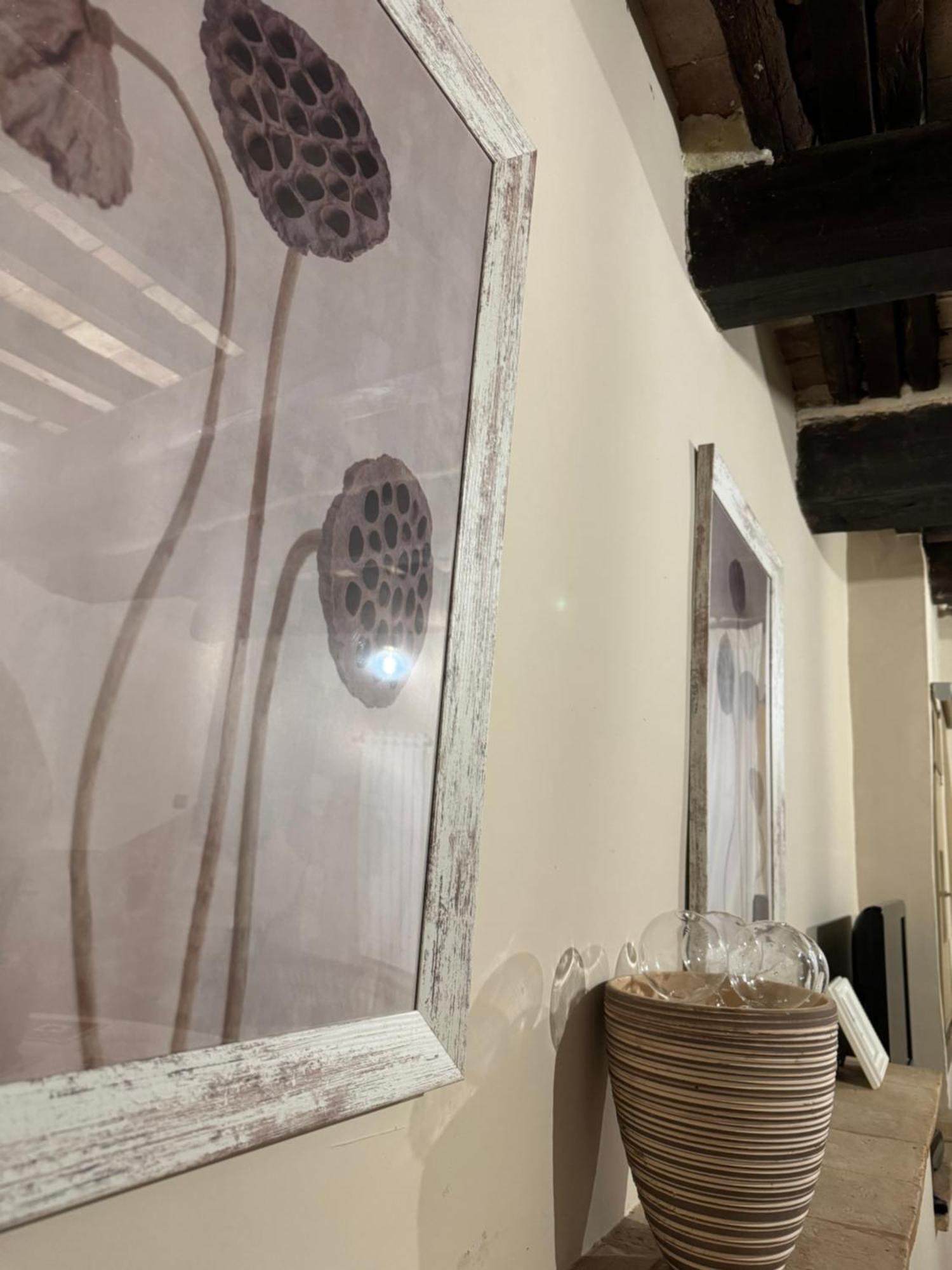 ホテル Sforza House アックアペンデンテ エクステリア 写真